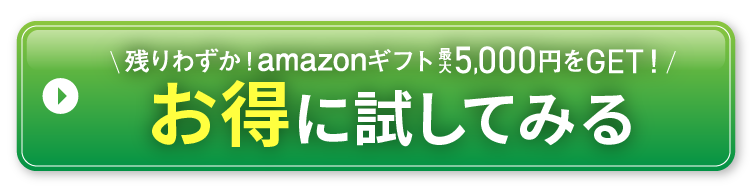 実質無料で試してみる